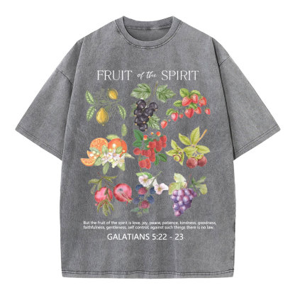 Fruit Of The Spirit Christian Washed T-Shirt