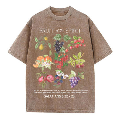 Fruit Of The Spirit Christian Washed T-Shirt