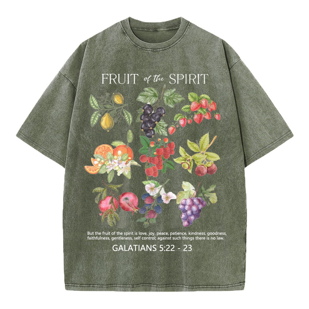Fruit Of The Spirit Christian Washed T-Shirt