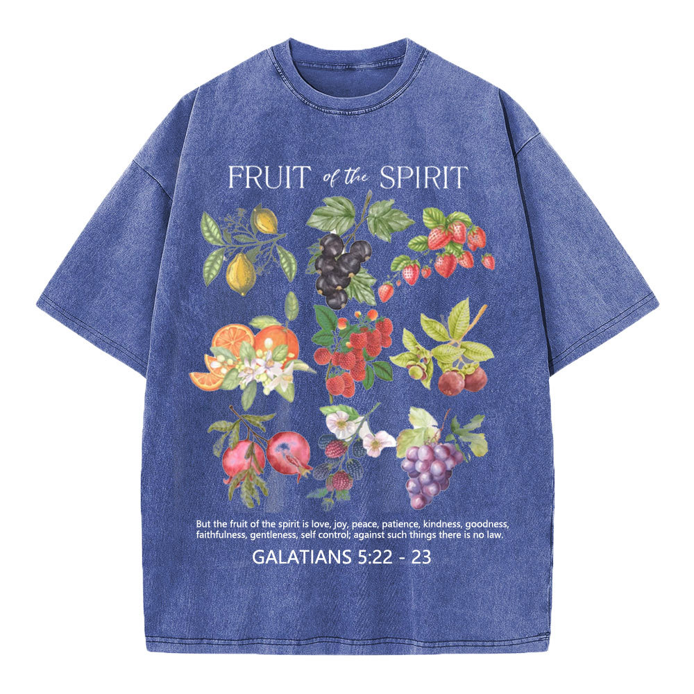 Fruit Of The Spirit Christian Washed T-Shirt