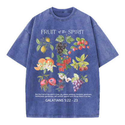 Fruit Of The Spirit Christian Washed T-Shirt