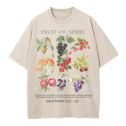 Fruit Of The Spirit Christian Washed T-Shirt