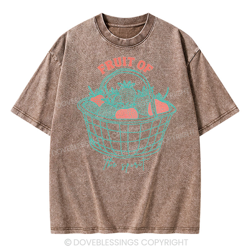 Fruit of the Spirit Christian Washed T-Shirt