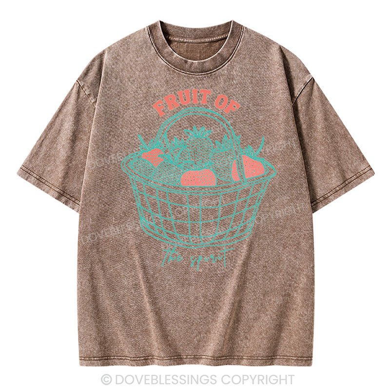 Fruit of the Spirit Christian Washed T-Shirt
