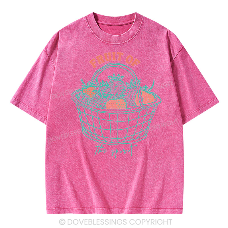 Fruit of the Spirit Christian Washed T-Shirt