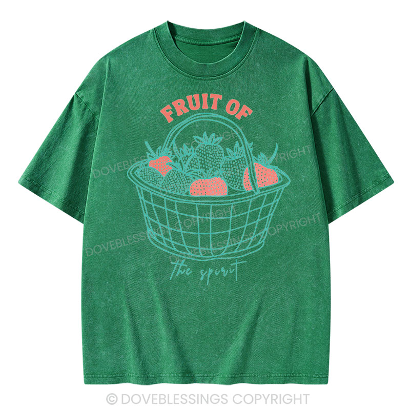 Fruit of the Spirit Christian Washed T-Shirt