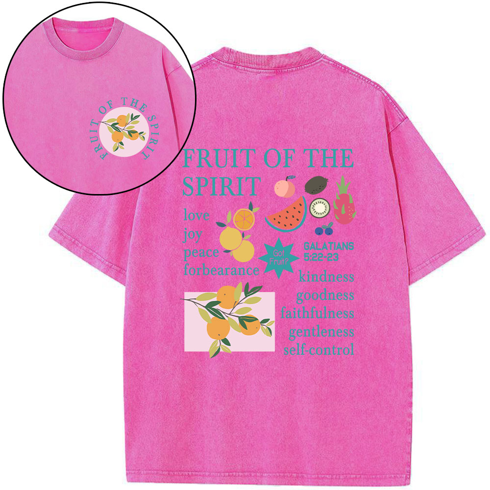 Fruits Of The Spirit Christian Washed T-Shirt