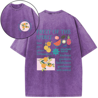 Fruits Of The Spirit Christian Washed T-Shirt