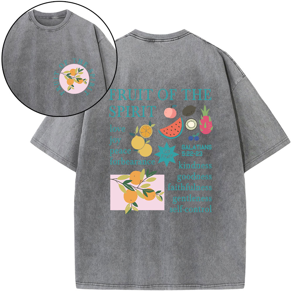Fruits Of The Spirit Christian Washed T-Shirt