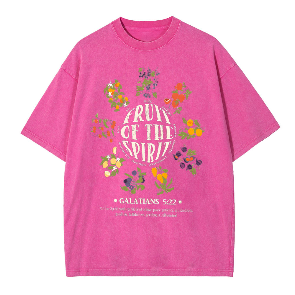 Fruits Of The Spirits Christian Washed T-Shirt