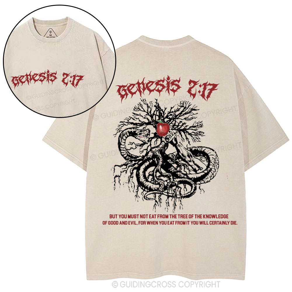 Genesis Christian Washed T-Shirt