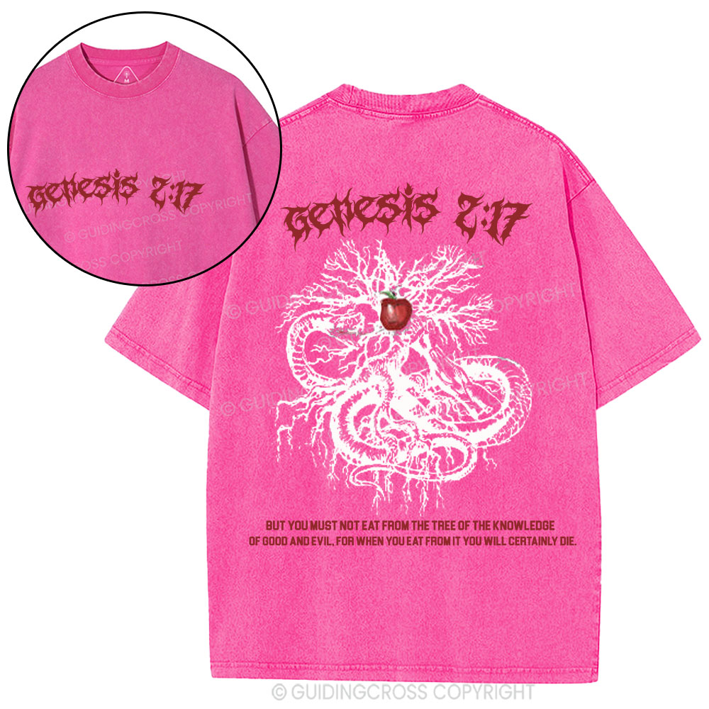 Genesis Christian Washed T-Shirt