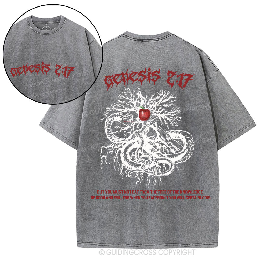 Genesis Christian Washed T-Shirt