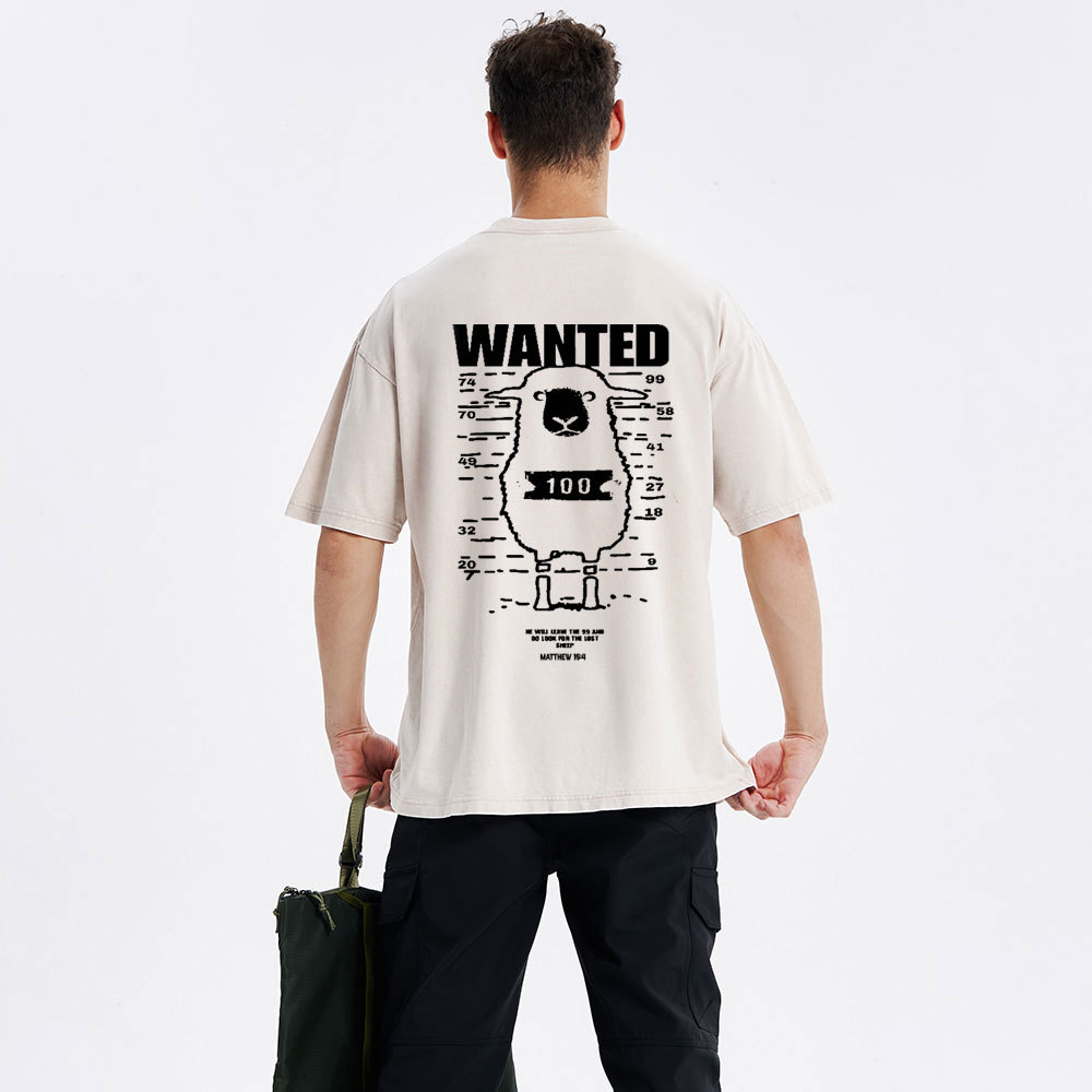 Go Look For The Lost Sheep Christian Washed T-Shirt