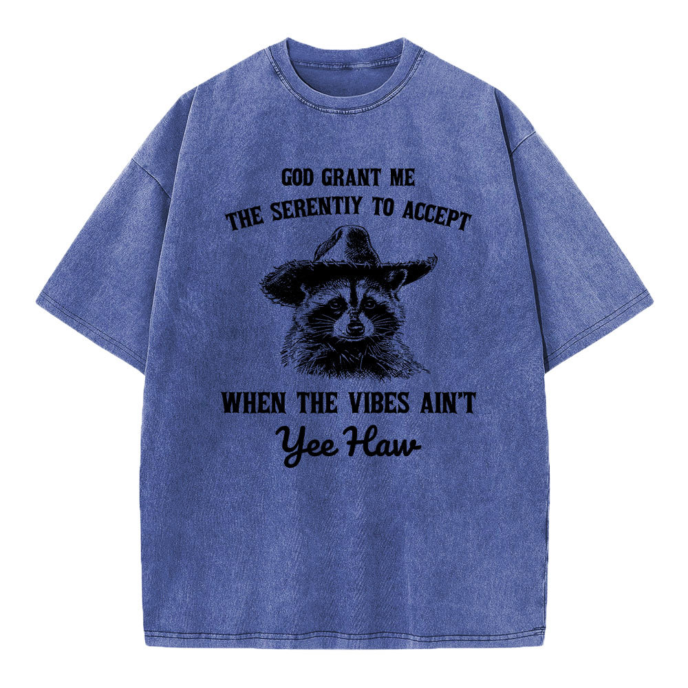 God Grant Me The Serenity To Accept Christian Washed T-Shirt