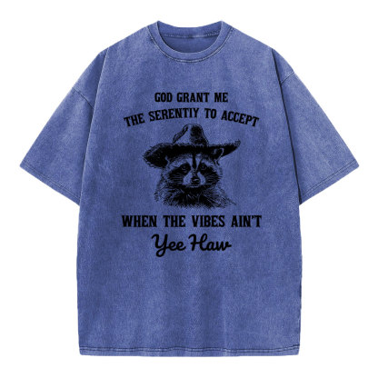 God Grant Me The Serenity To Accept Christian Washed T-Shirt