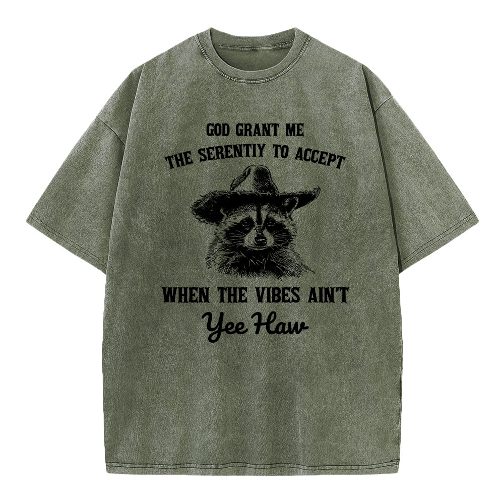 God Grant Me The Serenity To Accept Christian Washed T-Shirt