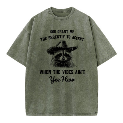 God Grant Me The Serenity To Accept Christian Washed T-Shirt
