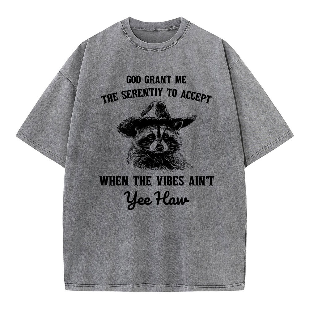 God Grant Me The Serenity To Accept Christian Washed T-Shirt