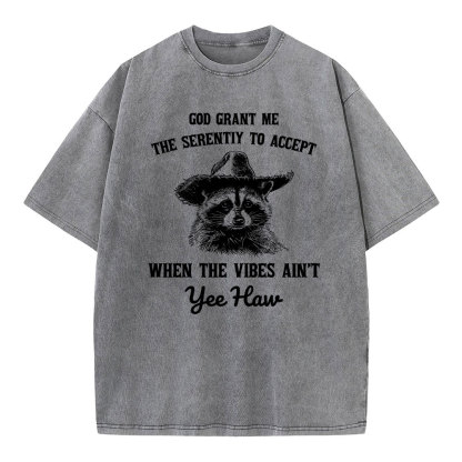 God Grant Me The Serenity To Accept Christian Washed T-Shirt