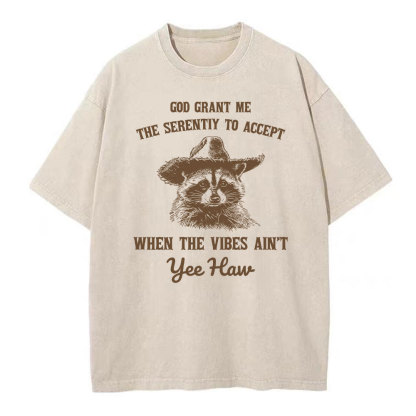 God Grant Me The Serenity To Accept Christian Washed T-Shirt