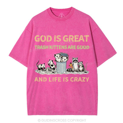 God Is Great Trash Kittens Are Good And Life Is Crazy Christian Washed T-Shirt
