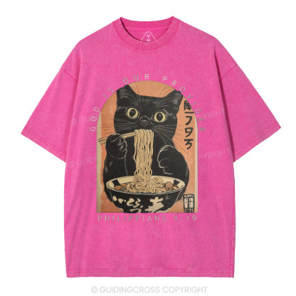 God Is Our Provider Christian Washed T-Shirt