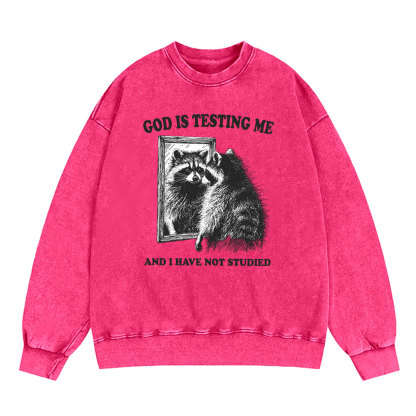 God Is Testing Me And I Have Not Studied Christian Sweatshirt