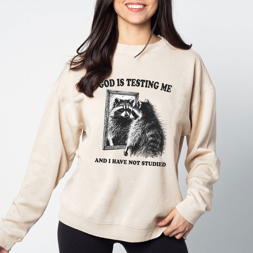 God Is Testing Me And I Have Not Studied Christian Sweatshirt