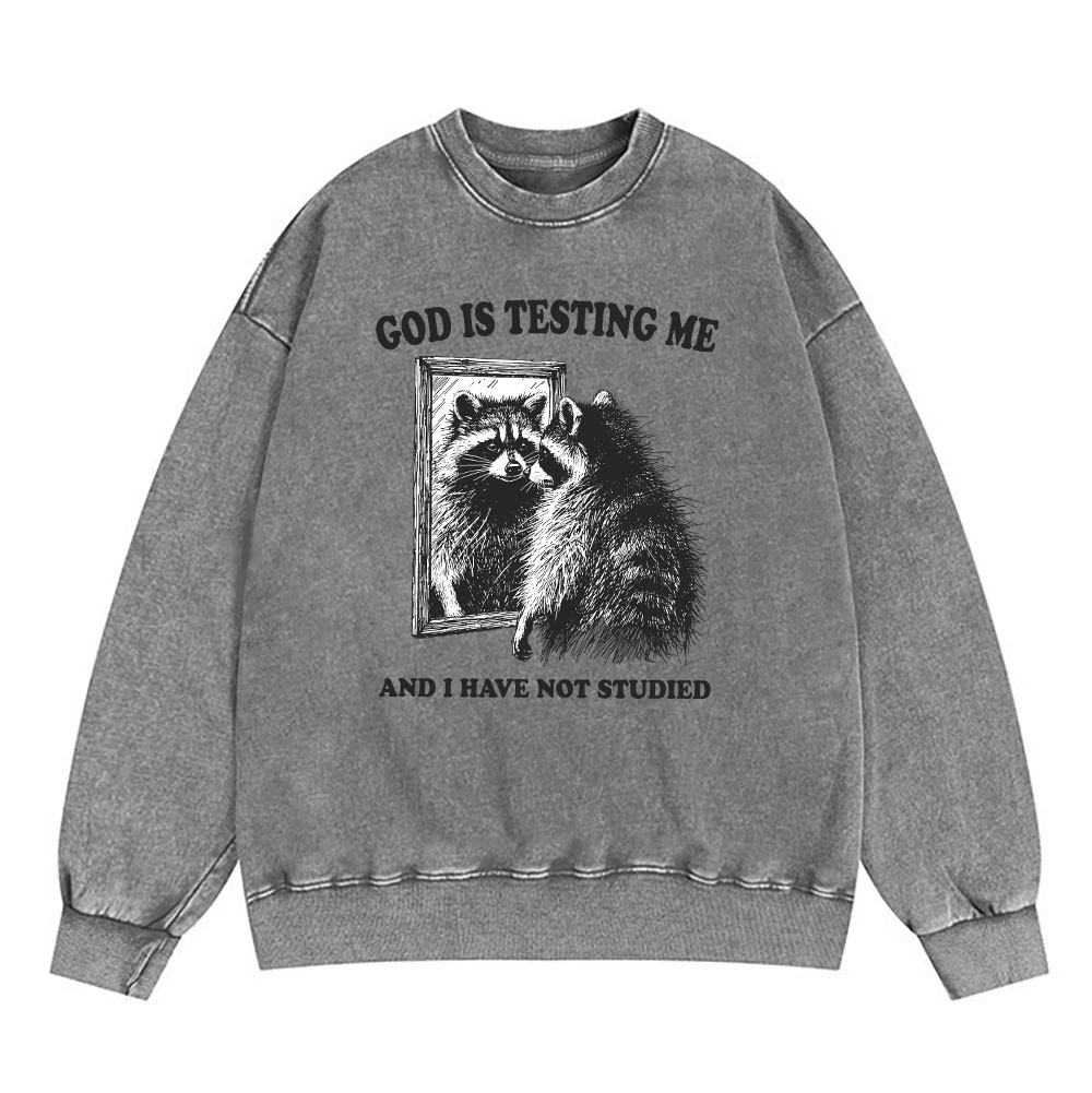 God Is Testing Me And I Have Not Studied Christian Sweatshirt