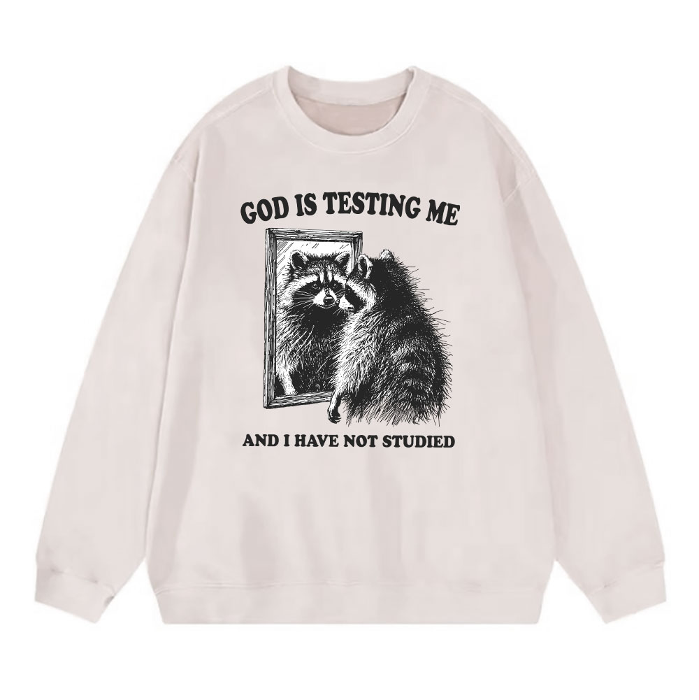 God Is Testing Me And I Have Not Studied Christian Sweatshirt Sale