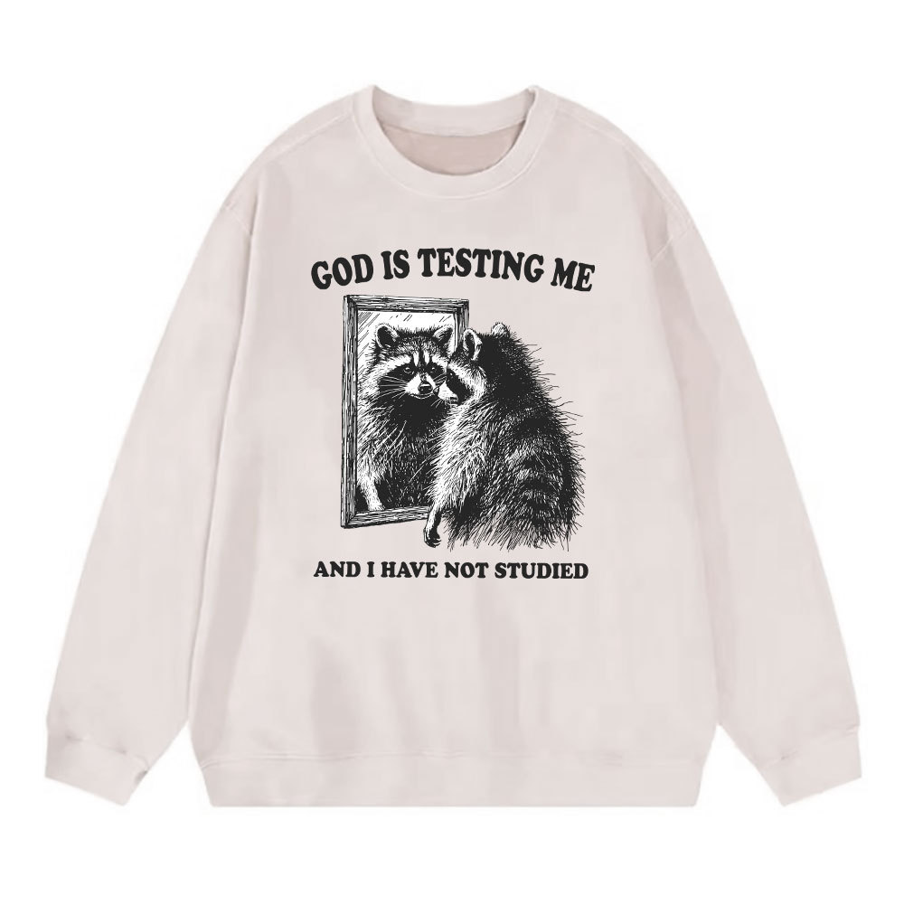 God Is Testing Me And I Have Not Studied Christian Sweatshirt