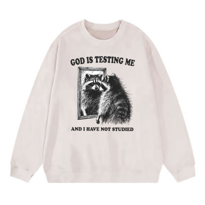 God Is Testing Me And I Have Not Studied Christian Sweatshirt