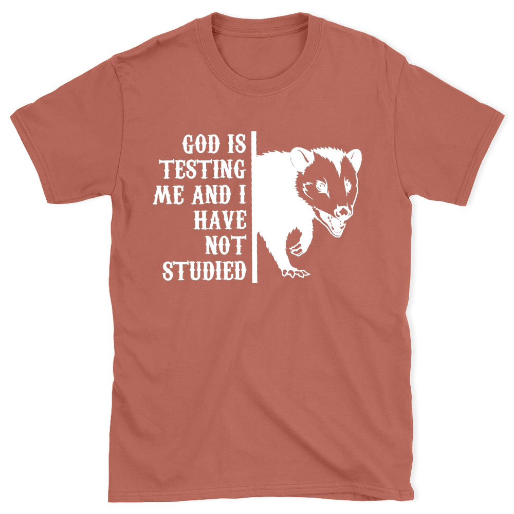 God Is Testing Me And I Have Not Studied Christian T-Shirt