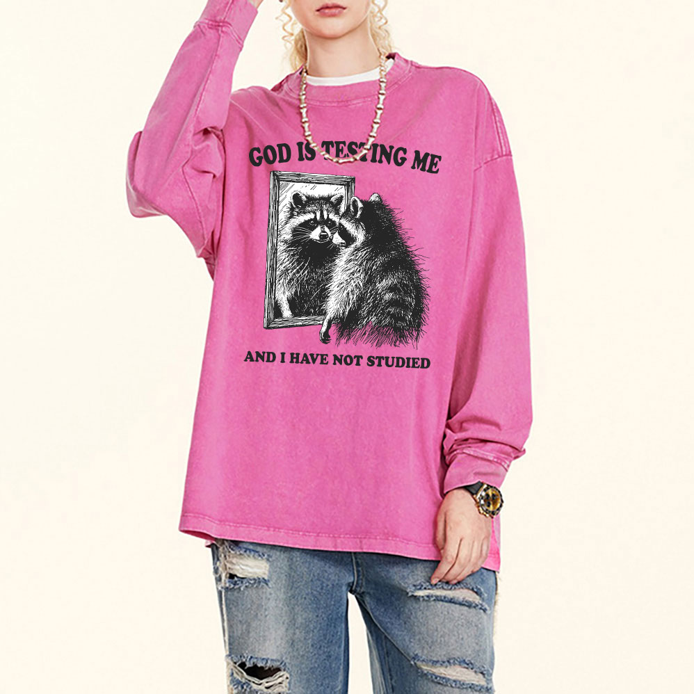 God Is Testing Me And I Have Not Studied Christian Washed Long Sleeve T-Shirt