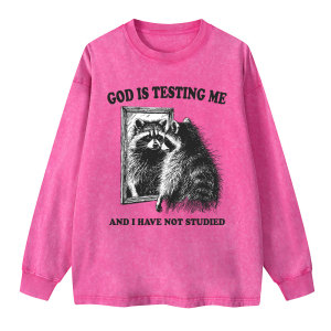 Image of God Is Testing Me And I Have Not Studied Christian Washed Long Sleeve T-Shirt