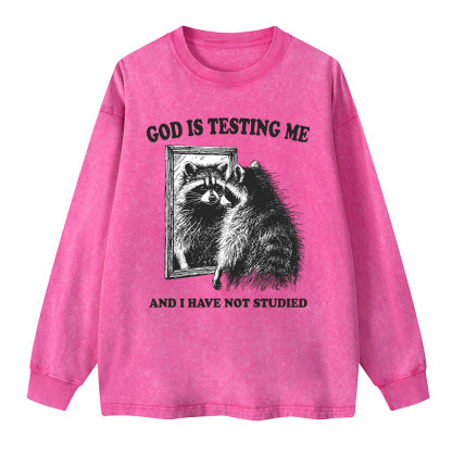 God Is Testing Me And I Have Not Studied Christian Washed Long Sleeve T-Shirt