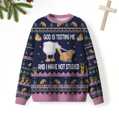 God Is Testing Me Furry Christian Lightweight Sweater
