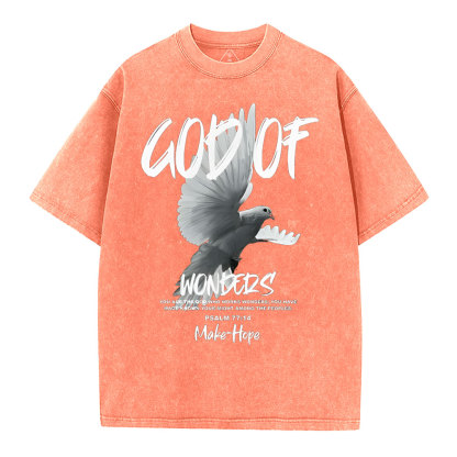 God Of Wonders Christian Washed T-Shirt
