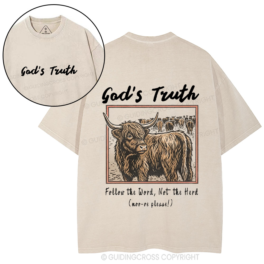 God Truth Christian Washed T-Shirt