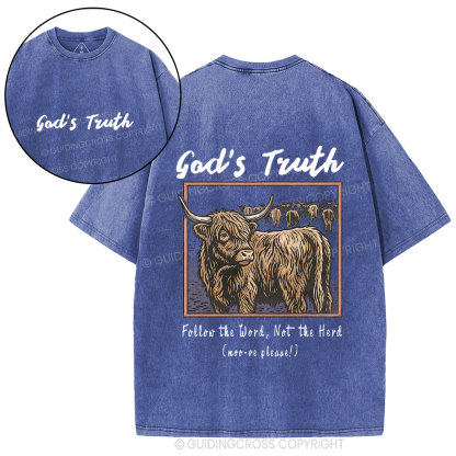God Truth Christian Washed T-Shirt