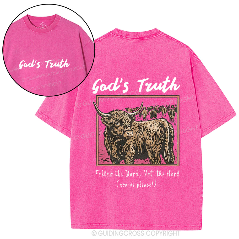 God Truth Christian Washed T-Shirt
