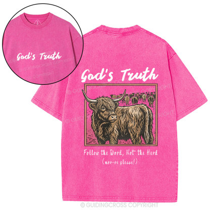God Truth Christian Washed T-Shirt