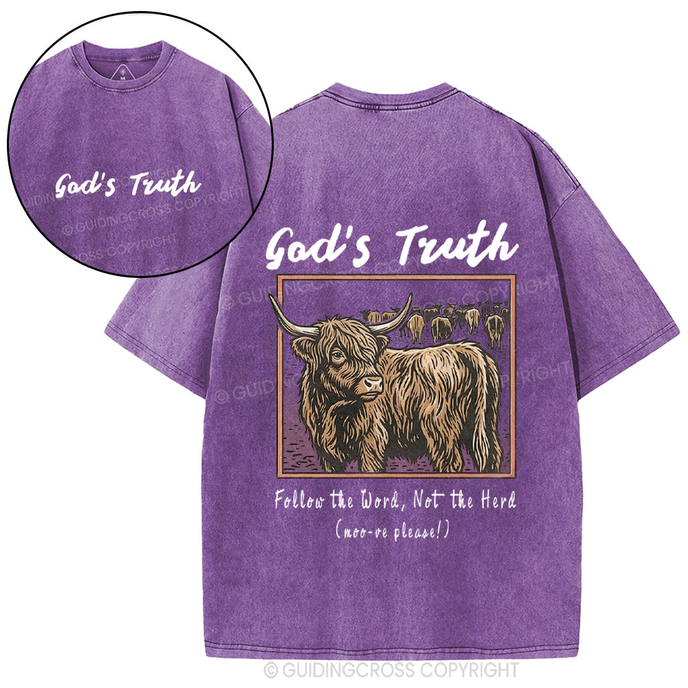 God Truth Christian Washed T-Shirt