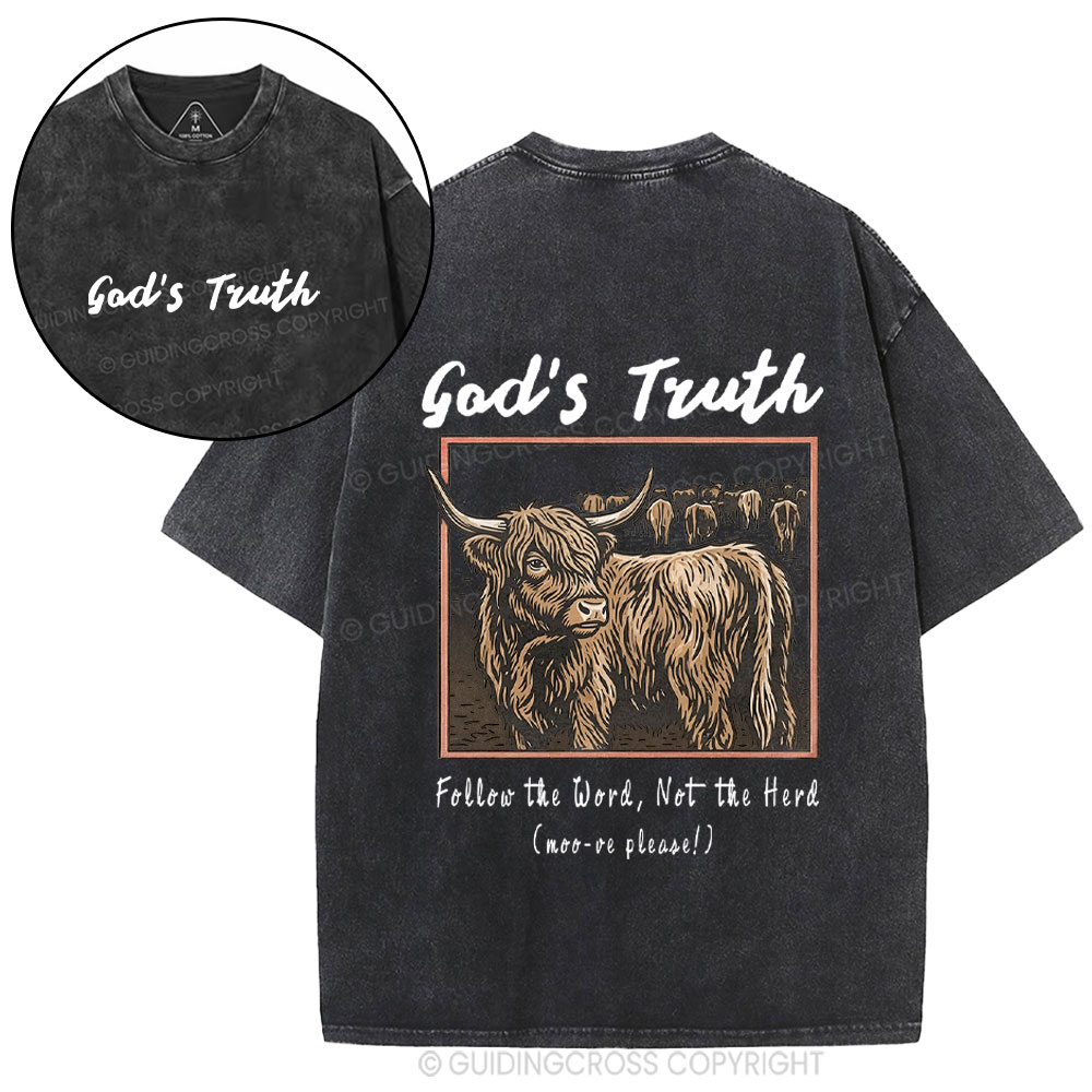 God Truth Christian Washed T-Shirt