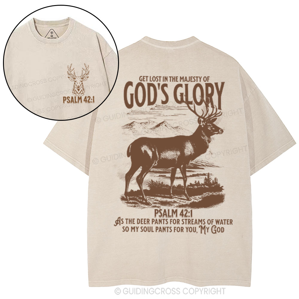 God's Glory Christian Washed T-Shrit