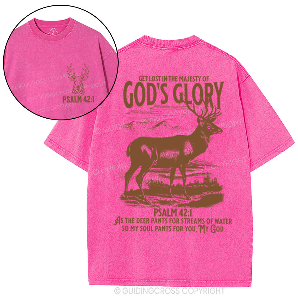 God's Glory Christian Washed T-Shrit
