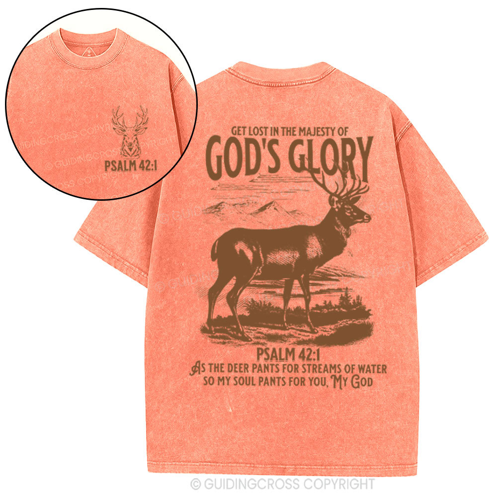 God's Glory Christian Washed T-Shrit