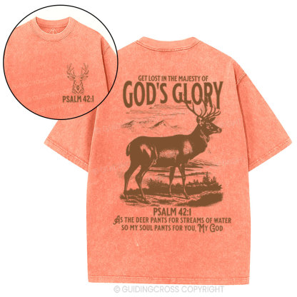 God's Glory Christian Washed T-Shrit