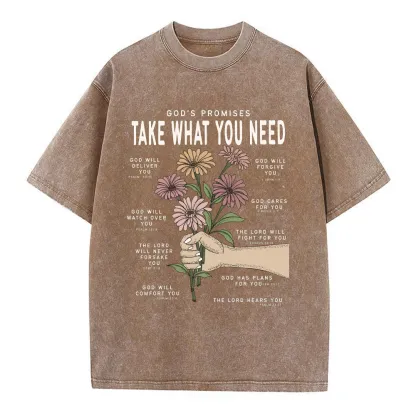 God's Promises Christian Washed T-Shirt